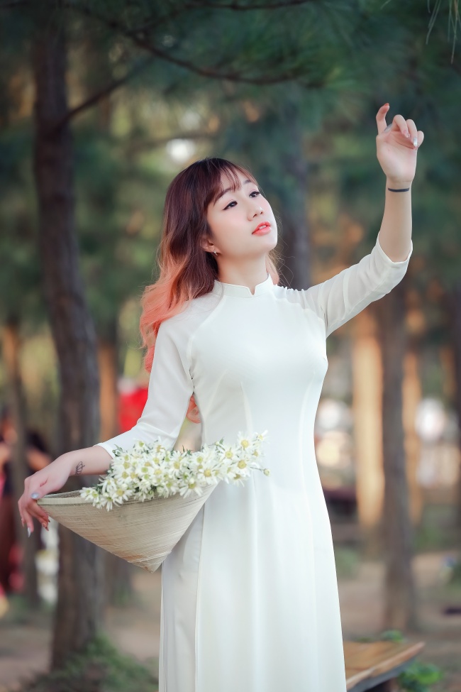 暗夜玫瑰